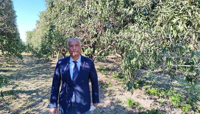 ZİRAİ DON NARENCİYEYİ OLUMSUZ ETKİLEDİ!