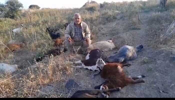 1 HAFTA ARA İLE İKİNCİ ZEHİRLENME OLAYI!