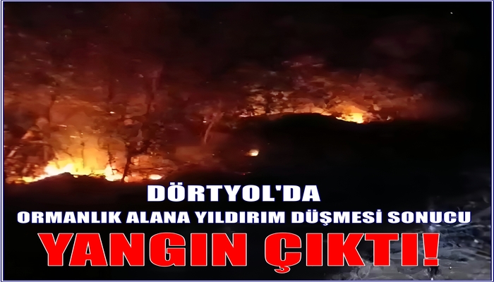 DÖRTYOL’DA ORMANLIK ALANA YILDIRIM DÜŞMESİ SONUCU YANGIN ÇIKTI!
